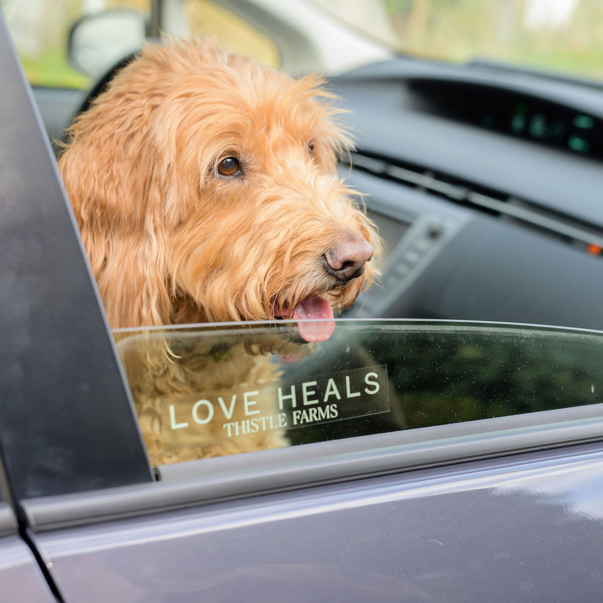 Love Heals Window Cling
