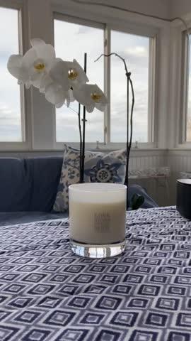 Vanilla Vetiver - Customer Photo From Alison Hollo