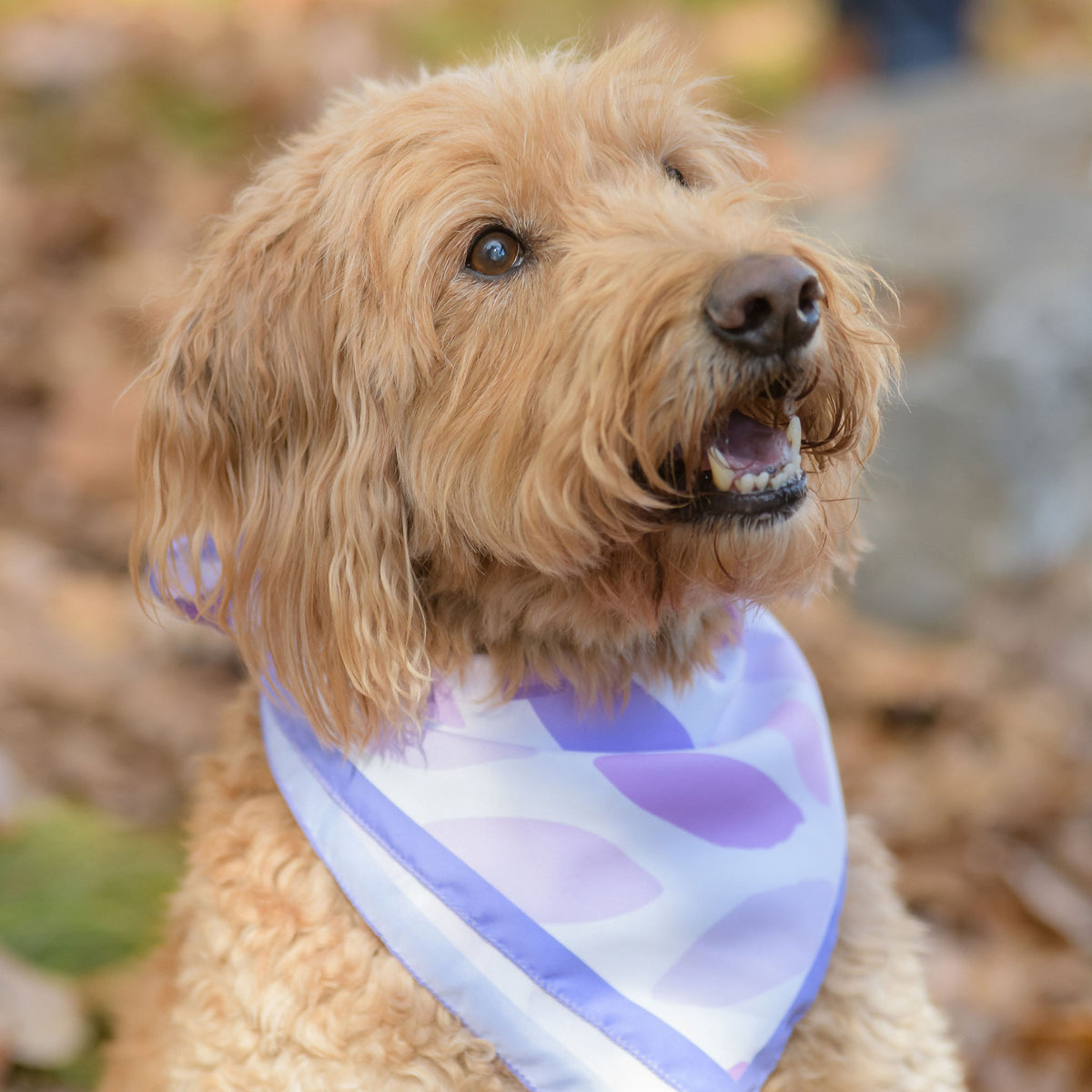 Love Heals Bandana