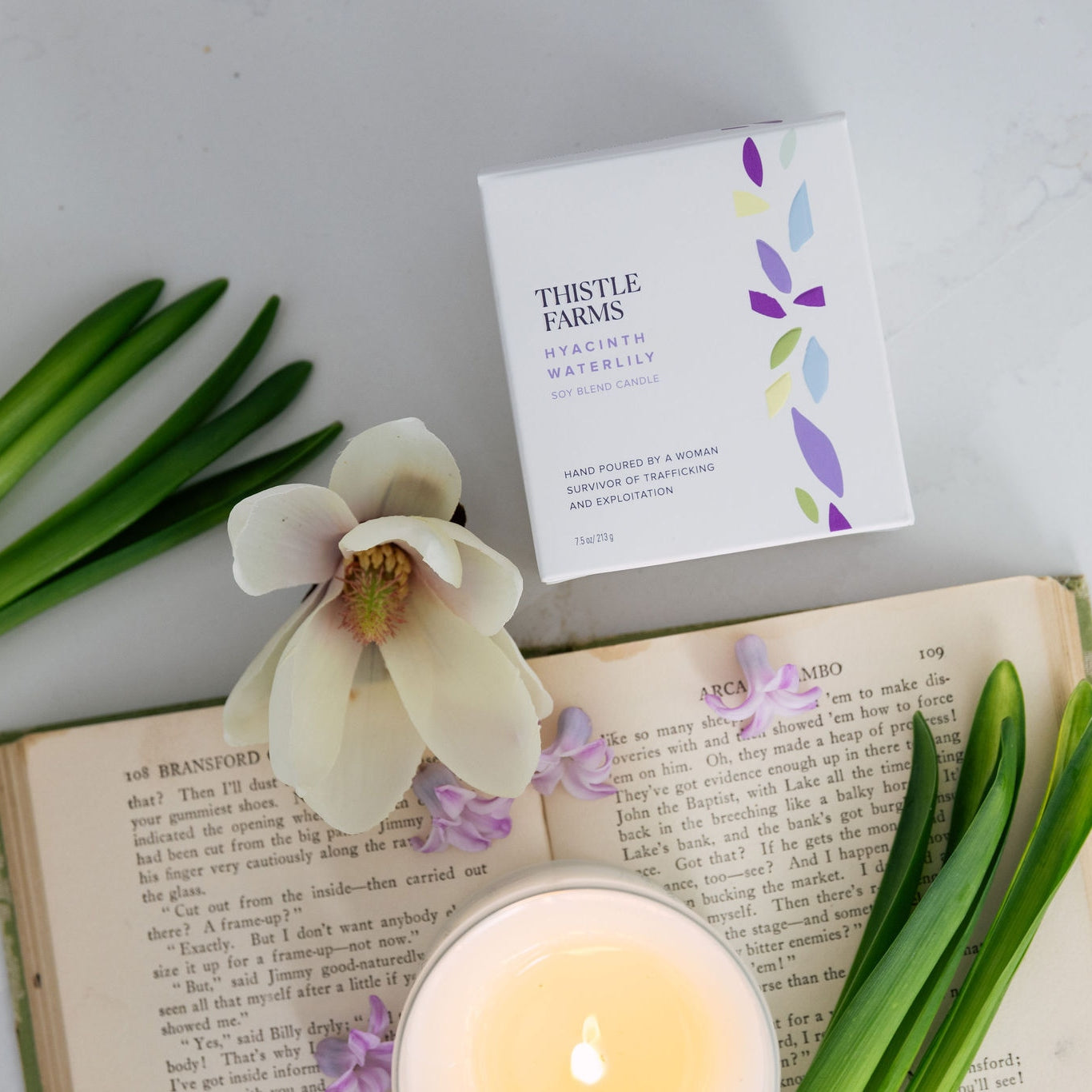 Hyacinth Waterlily
